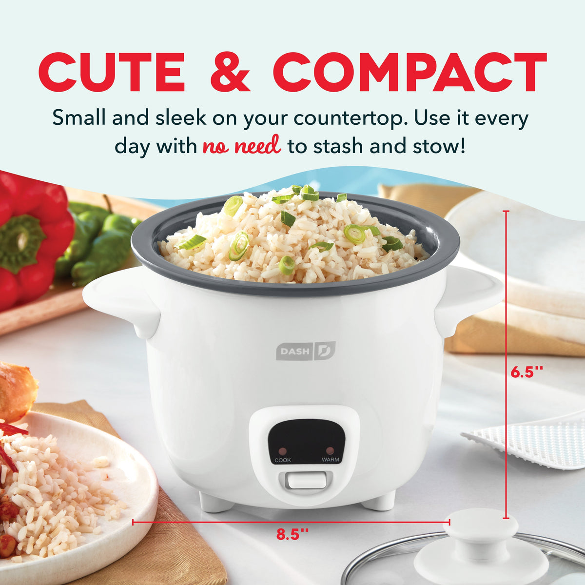 Mini Rice Cooker with Keep Warm